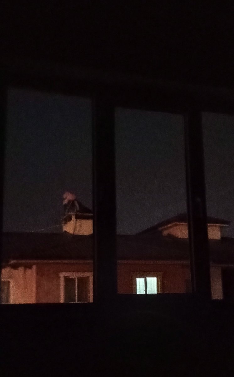 şu şekil gündoğumunu bekliyoruz hayırlı sabahlar efendim