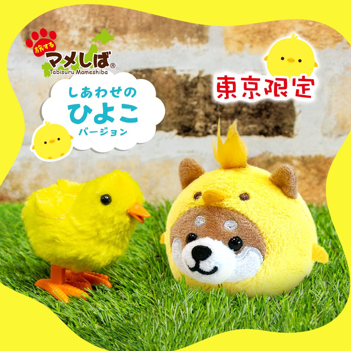 まめまめしば♡断捨離中です♡ 様 ご購入予定品 旅するマメしば on X