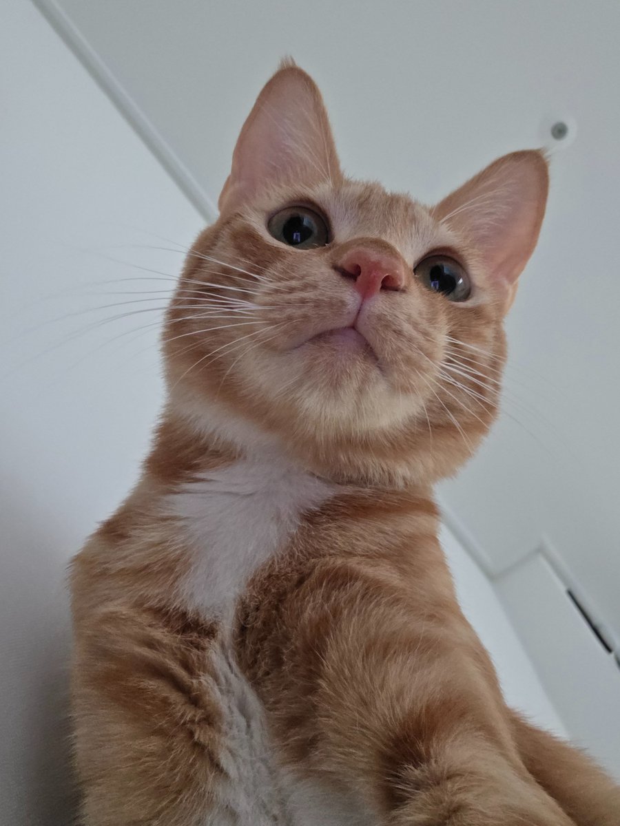 환자분 정신이 드세요?

                                                  그럼 나랑 놀아