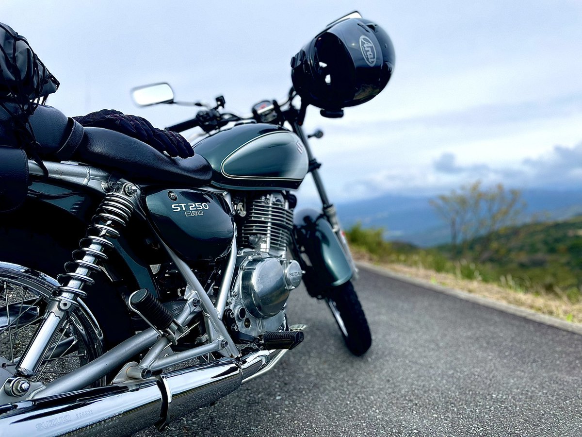 ねここねこ  猫 – JXK