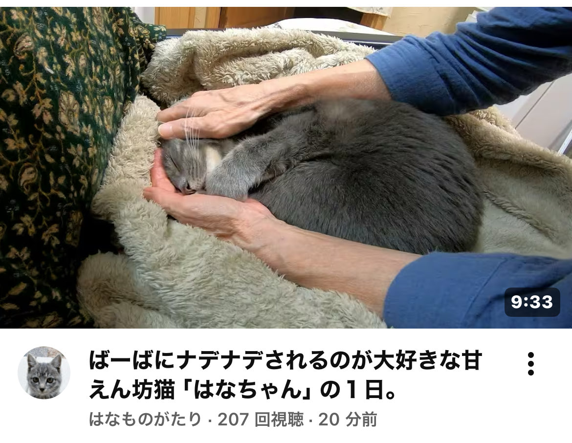 ⭐️はなちゃんです 書庫 on X