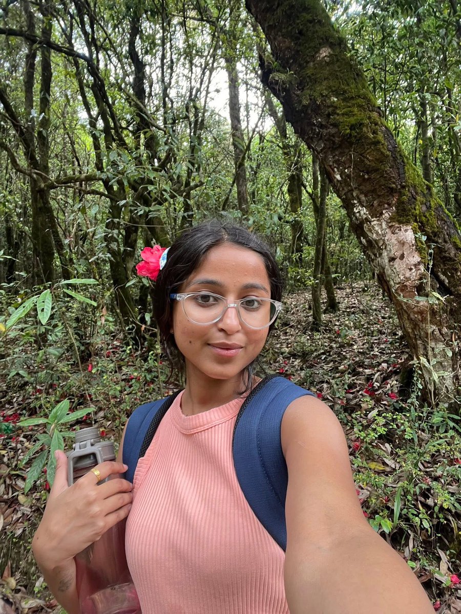 Out here reconnecting with nature after watching one overconfident dude treat the government like his mood swing simulator.