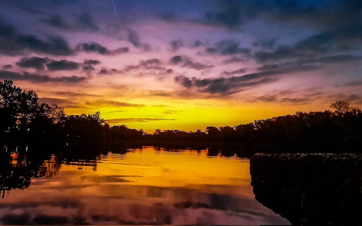 The Happy Rising Guy tweet media