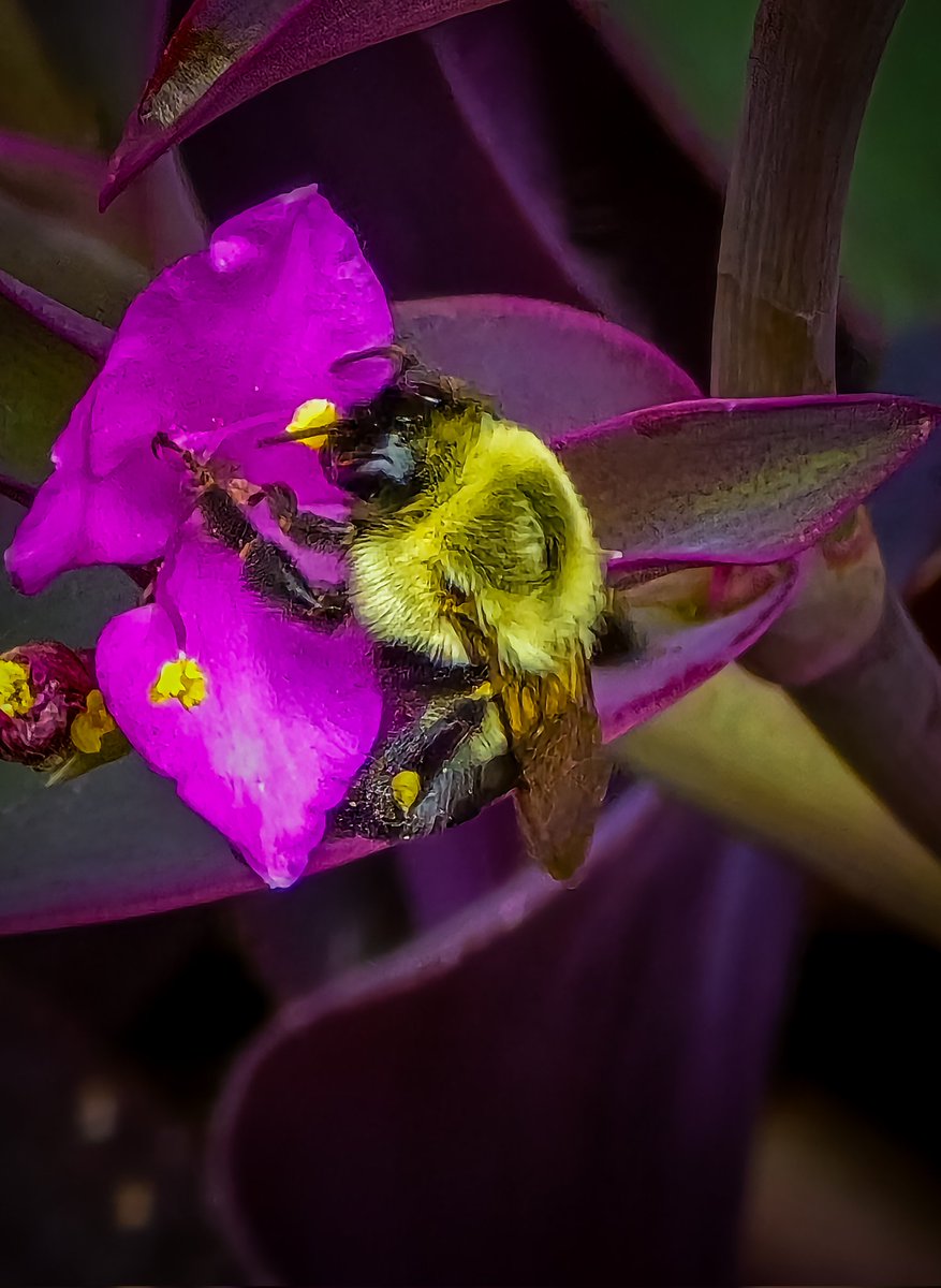 The Happy Rising Guy tweet media