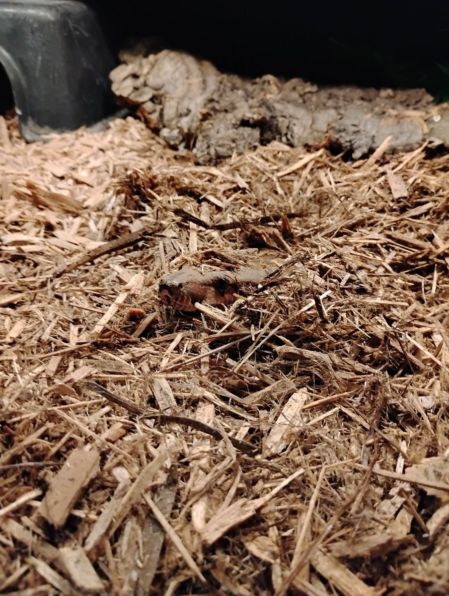 She's so adorable it hurts