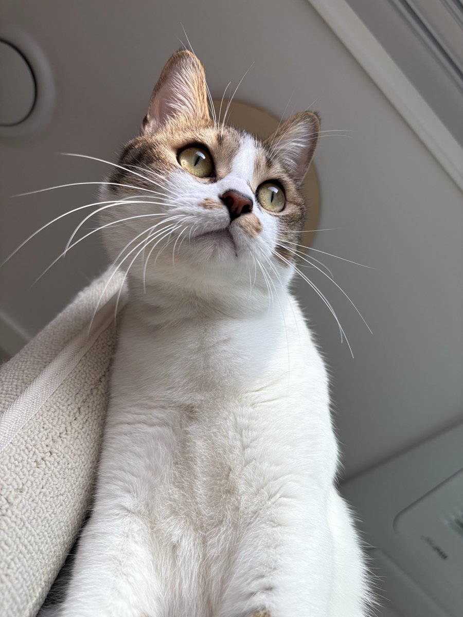 자기 보라고 “오옹” 하고 울어놓곤
막상 바라보면 모른척 하는 녀석