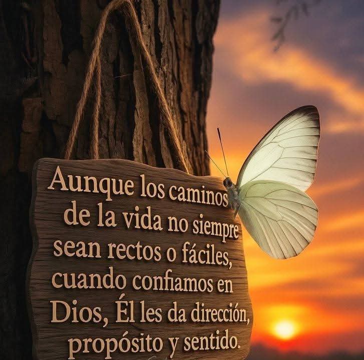 Fogata (@fogata13) on Twitter photo 