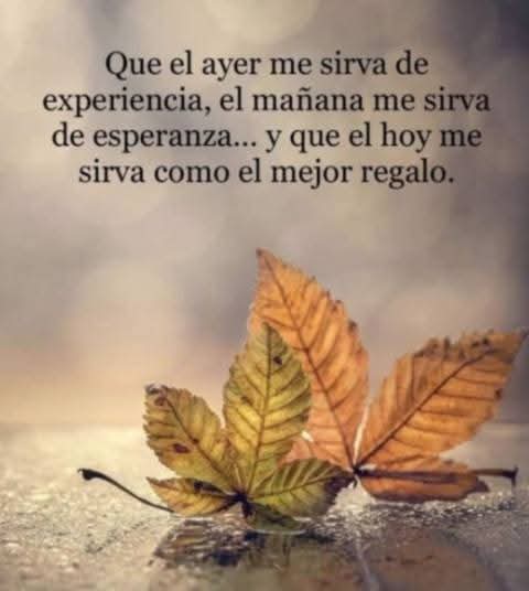 Fogata (@fogata13) on Twitter photo 