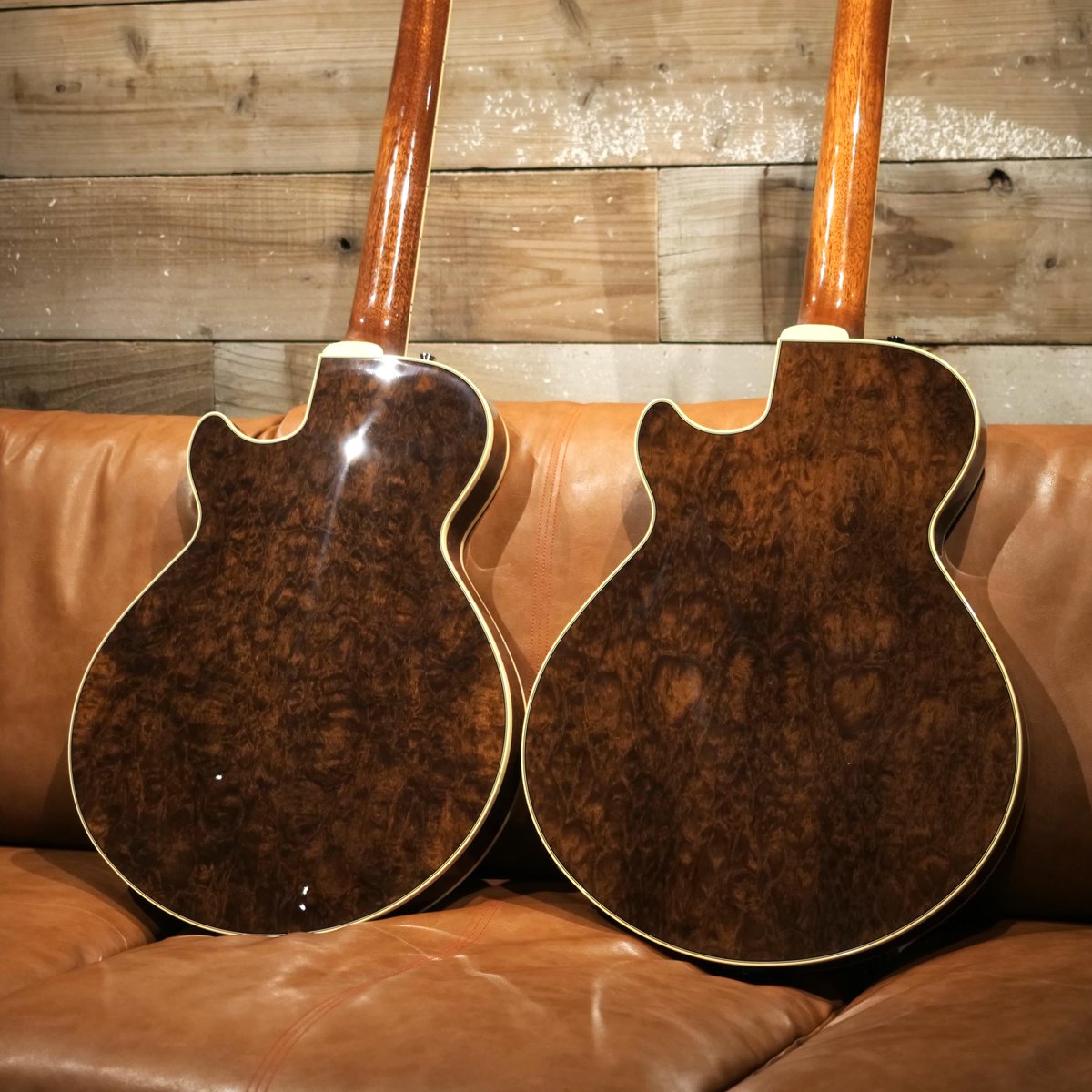 ドルフィンラム ドルフィンギターズ on X