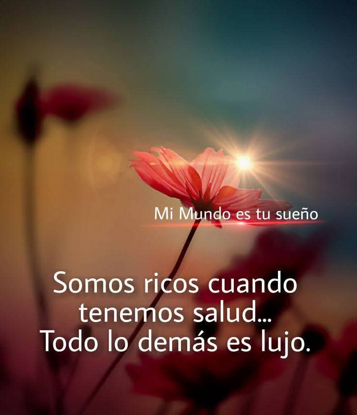 Fogata (@fogata13) on Twitter photo 