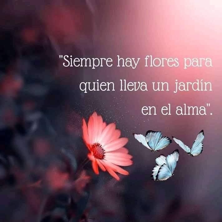 Fogata (@fogata13) on Twitter photo 