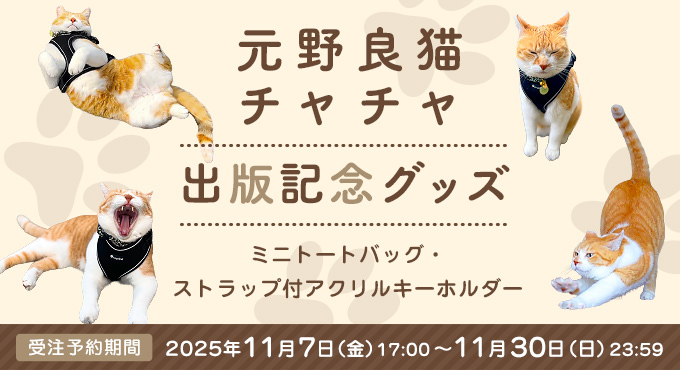 10/10までNO.2908✤失われた野生ねこ 雪の結晶 ハンドメイド チャーム