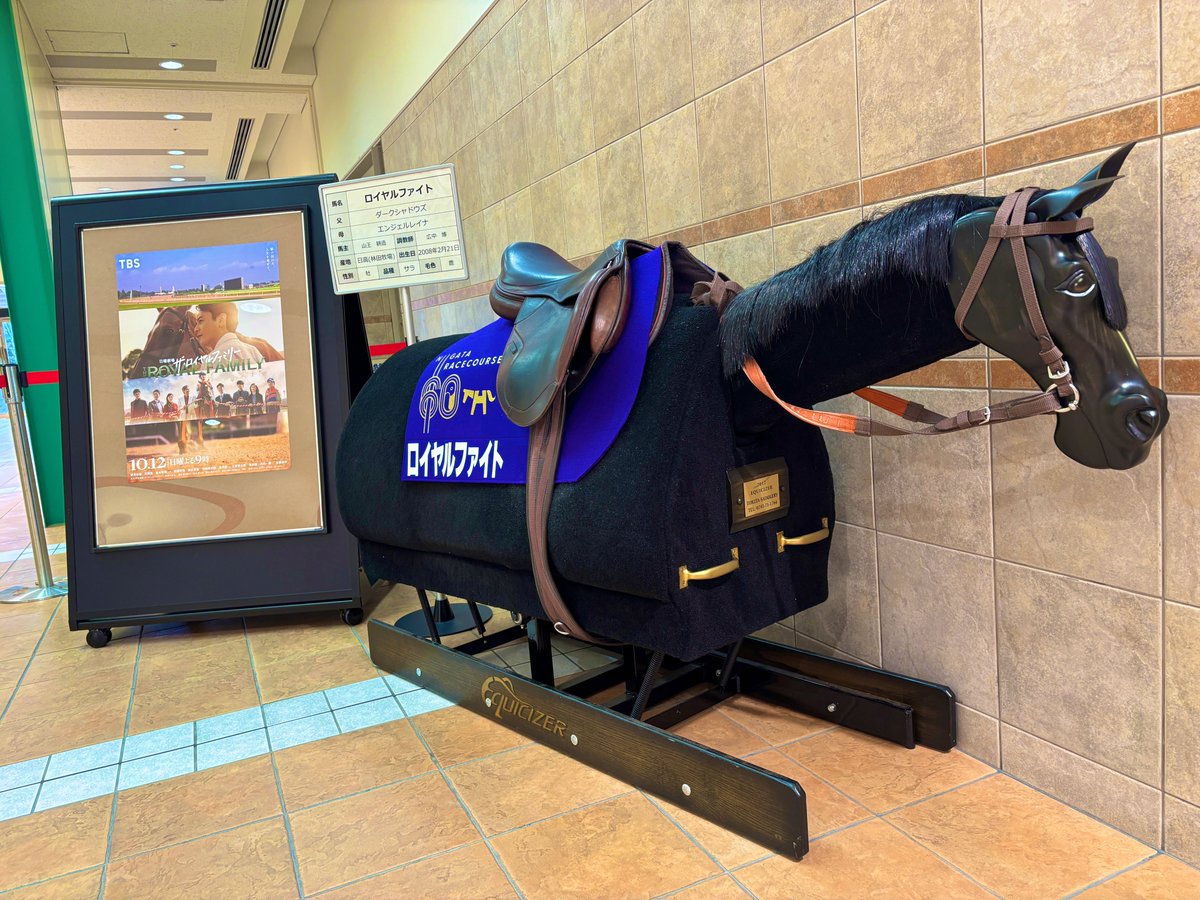 JRA新潟競馬場 (@JRA_Niigata) / Posts / X