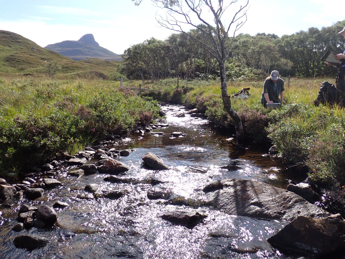 WSFTrust's tweet image. #FridayChallenge A wee while since we visited this site, but where is it?
