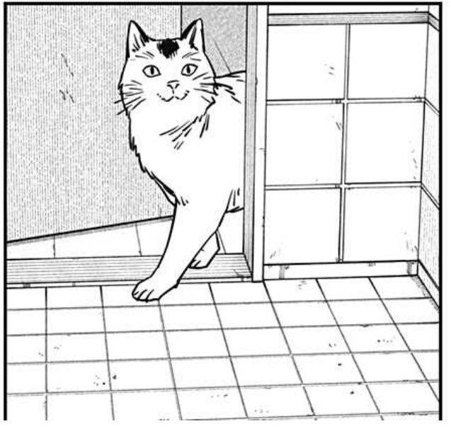 ニャーコは…なんて言うか…大福みたいなビジュアルだと思ってたな…
動物園のお土産屋のトラみたいなビジュアルじゃなくて…