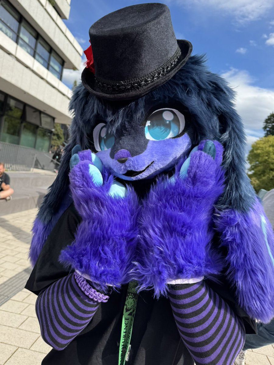 Look at my lil hat!!!
Don't I look pretty fancy like this?!

Happy #FursuitFriday everynyan~

#Eurofurence29
📸: <a href="/EDoxFX/">edox 🔜 NFC</a>