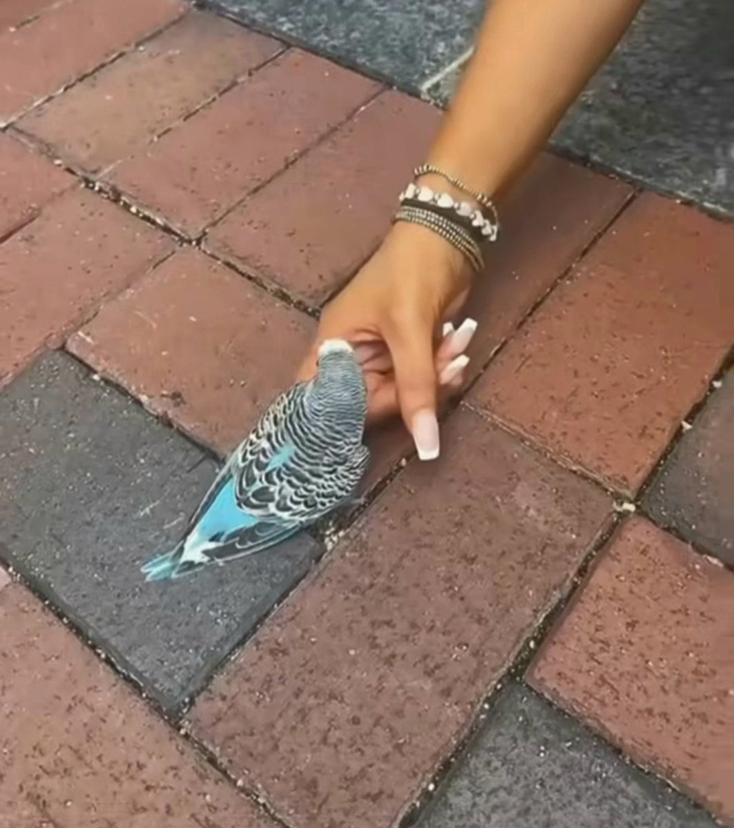 🩶

𝙱𝚘ş 𝚟𝚎𝚛,
      𝚋ı𝚛𝚊𝚔 𝚐𝚒𝚝𝚜𝚒𝚗
      𝚗𝚎 𝚘𝚕𝚊𝚌𝚊𝚔𝚜𝚊 𝚘𝚕𝚜𝚞𝚗..

𝙱𝚞 𝚍ü𝚗𝚢𝚊𝚍𝚊
      𝚑𝚒ç 𝚋𝚒𝚛 ş𝚎𝚢
      𝚊 𝚜 𝚕 𝚊
      𝚜𝚊𝚗𝚊 𝚊𝚒𝚝 𝚘𝚕𝚖𝚊𝚍ı 𝚣𝚊𝚝𝚎𝚗..

𝚂𝙴𝙽 𝚢𝚊𝚕𝚗ı𝚣𝚌𝚊_𝚂 𝙰 𝙽 𝙰_𝚜𝚊𝚑𝚒𝚙𝚜𝚒𝚗

▫️▫️▫️▫️▫️▫️▫️▫️▫️▫️▫️🤍▫️▫️