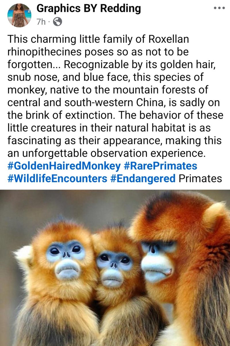 MSVIVACIOUSCOM's tweet image. #ClickLinkInMyBio 
#ReddingGraphicsAndTravel
#Dream #Live #TravelTheWorld

facebook.com/share/p/1BNuxD…