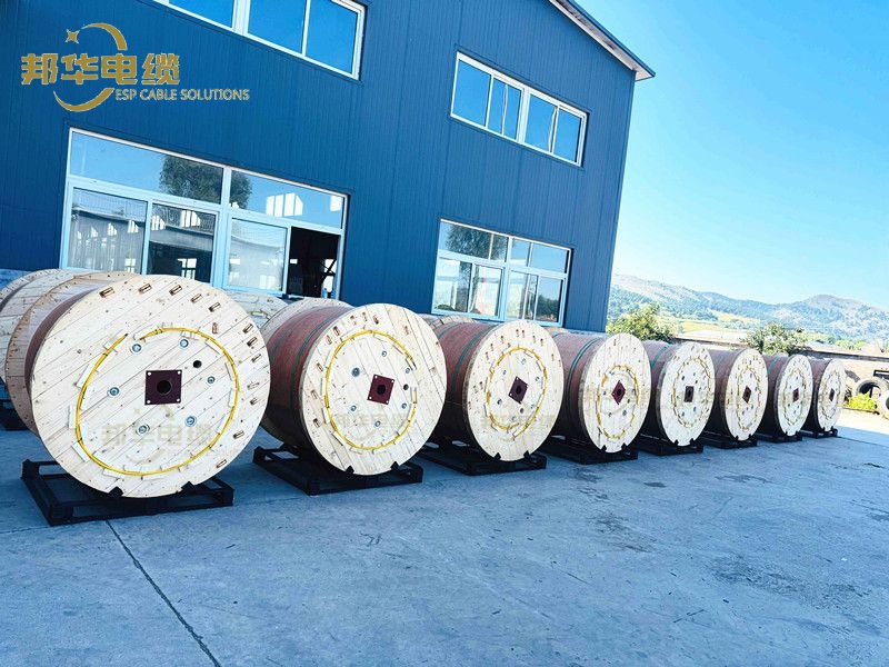 zhao29759's tweet image. Due to the extreme professionalism, so production is extremely busy!
500+ Spools TEC cable &amp;amp; Capillary had been shipped in the past 3 month.
Thanks the trust of all our clients!
For inquiry, please contact with:
Email: sales05@espcablesolutions.com
#TEC #ControlLine #WellTesting