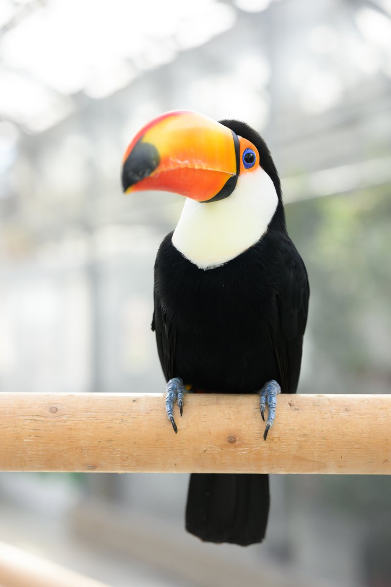 ∠ヤス子 (@Yasukyoro) / Posts / X