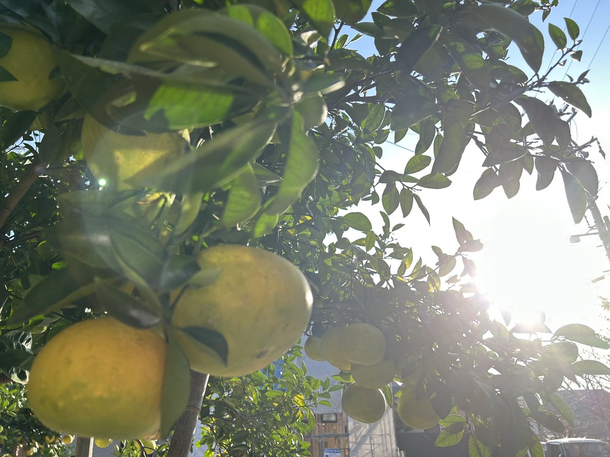 tanakatakeshi's tweet image. 今日は知多半島にお邪魔させていただきました。

今日は立冬ですが、少し動くと汗ばむような陽気でした。

今宵は今週3回目の会食…。しっかりと楽しみたいと思います。

#質実剛健
#田中健
#未来共創
#地域密着