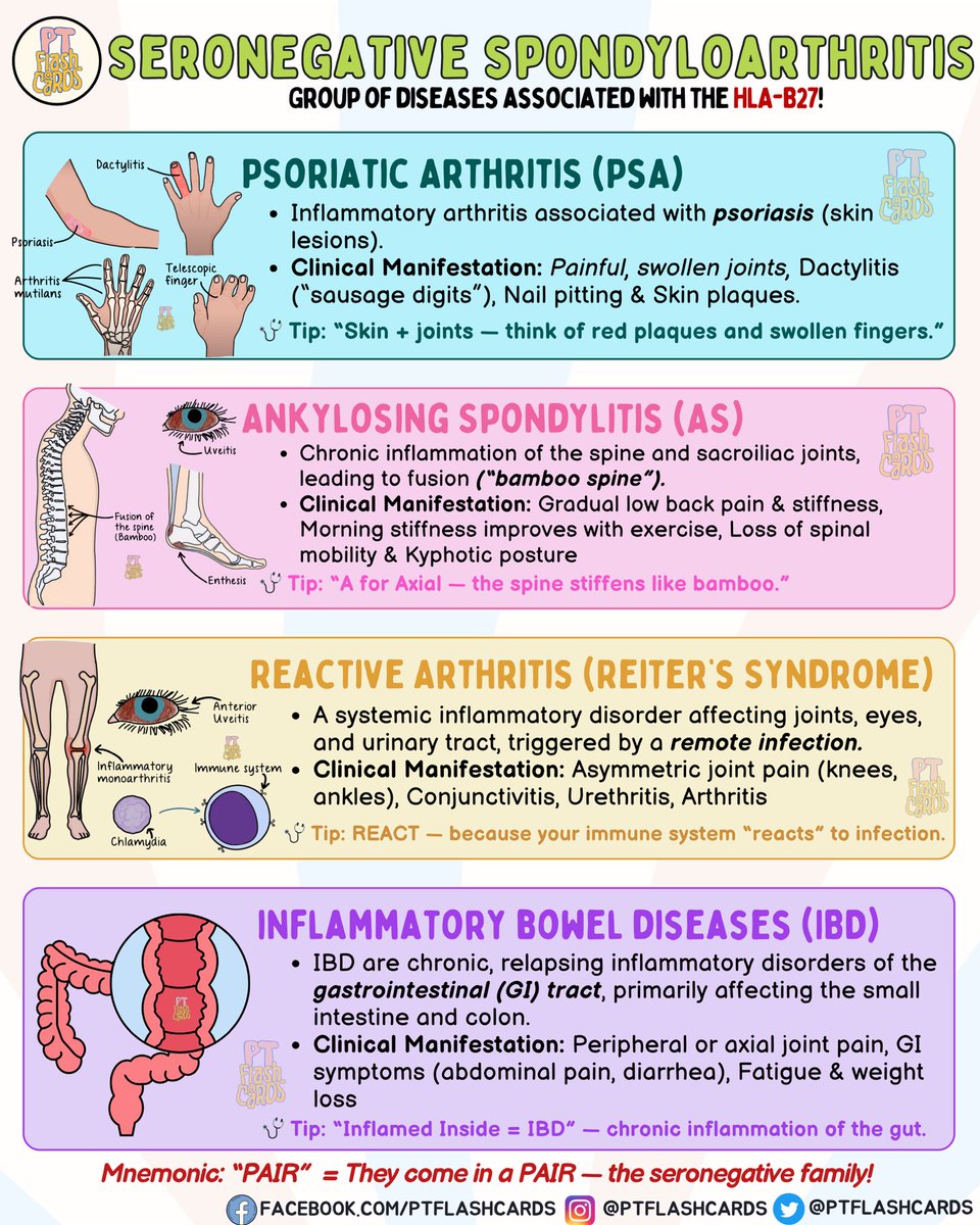 PT flashcards tweet media