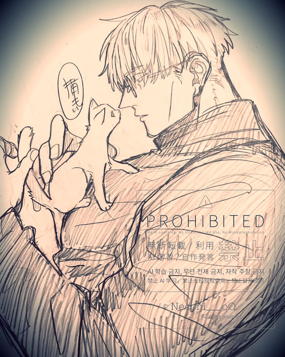 ⑤猫の日♡限定m(=✧ω✧=)m✧ ✧ ✧ 白猫♡白猫　猫ひな人形 猫にぃ on X