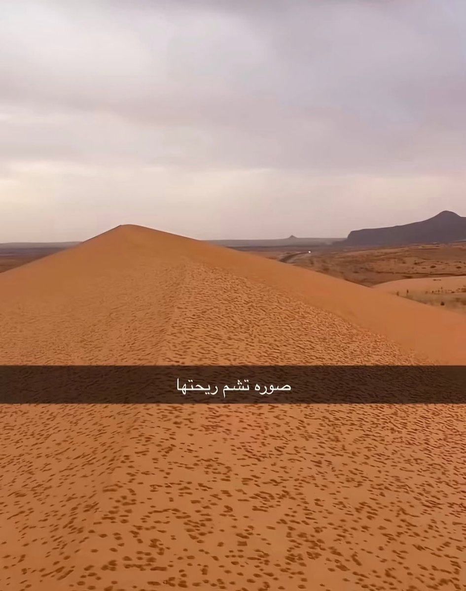 iiiiiv555's tweet image. 