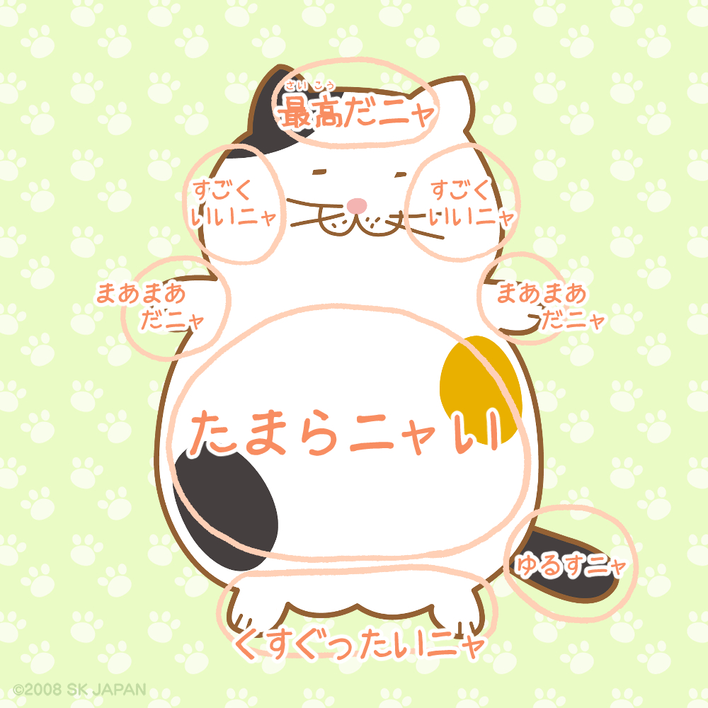 わがはいたちの 触り心地マップをお披露目ニャ✨
どこでもウェルカムニャ～♪

#でぶねこ