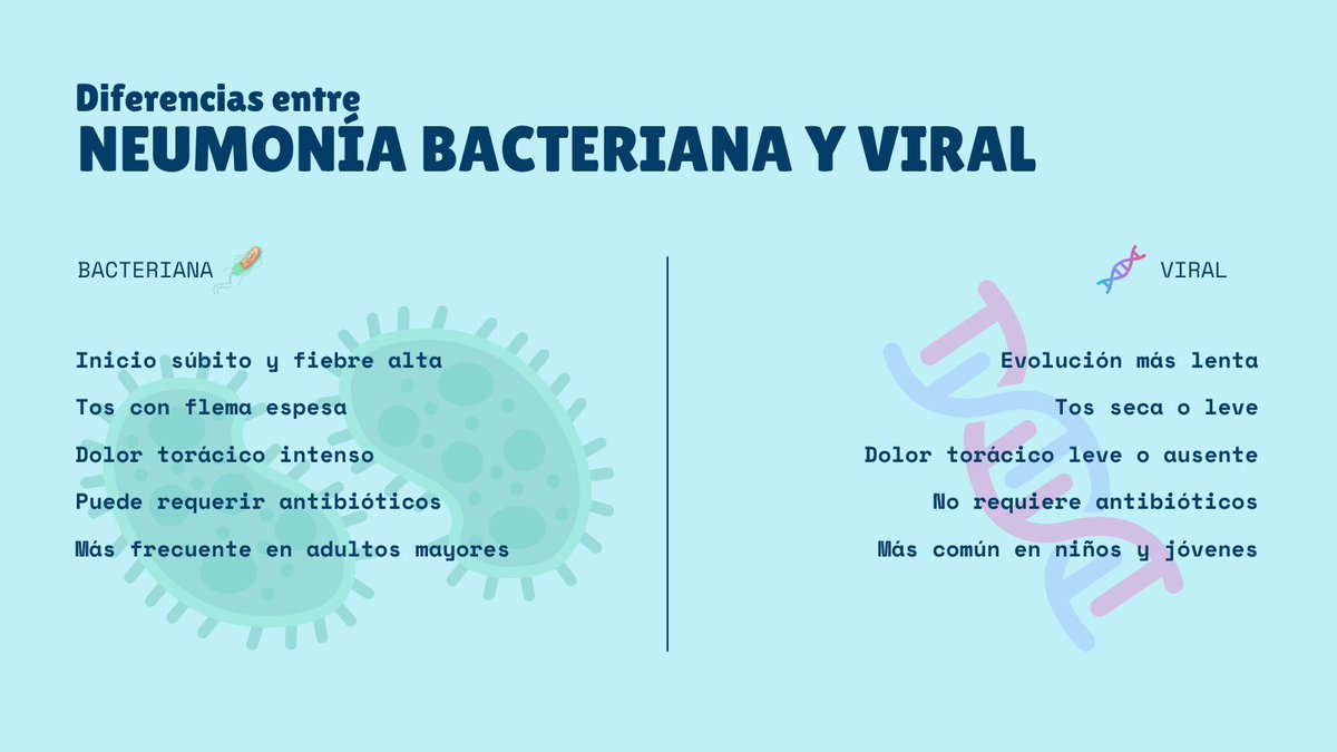 SLRuz's tweet image. 🦠 No todas las neumonías son iguales.

La bacteriana es más aguda y responde a antibióticos.
La viral es más leve y no los necesita.
Saber diferenciarlas ayuda a tratarlas mejor.

#EducaciónMédica #CuidadoRespiratorio #DrSergioLopezRuz