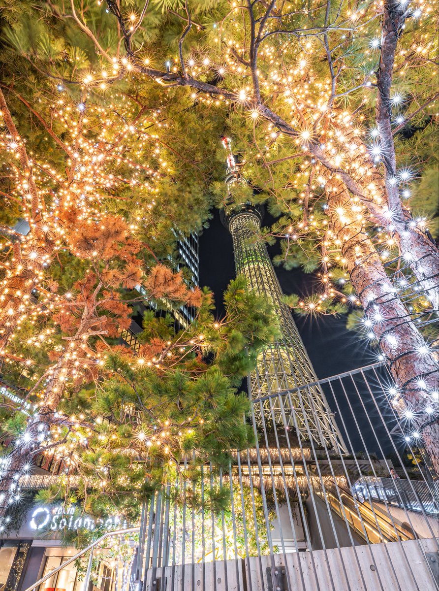 na kuma ページ かなこむ (@kanacom819) / Posts / X