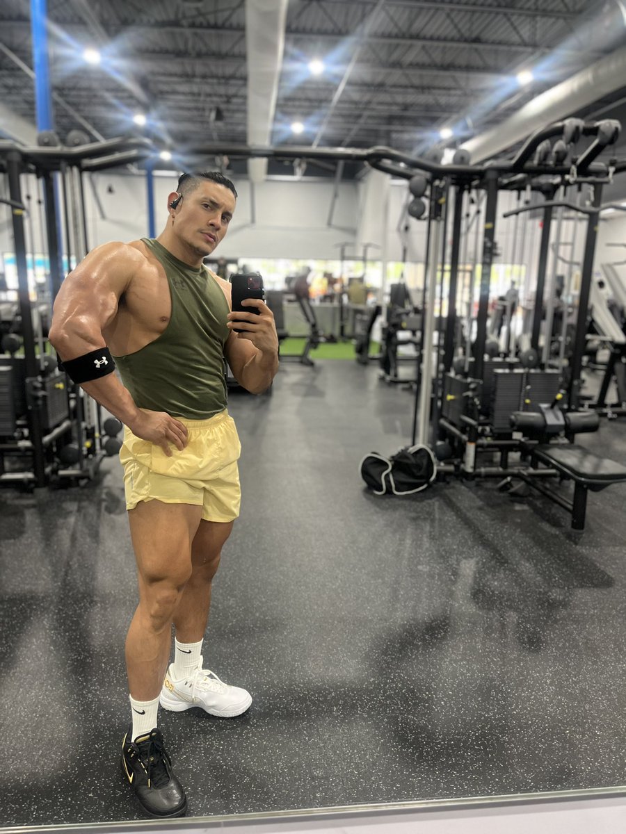 dantekingalpha