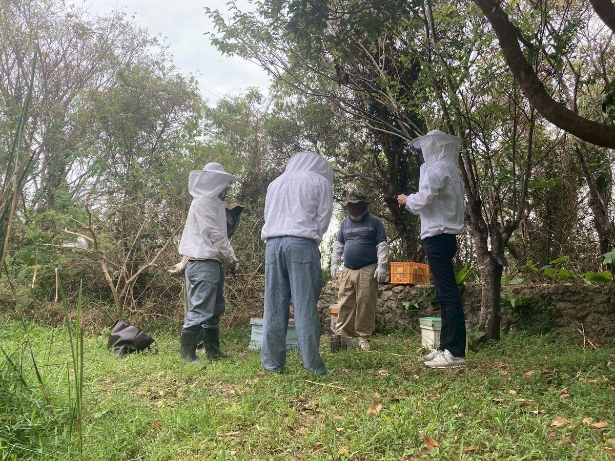 風樹館の巣箱を内検中