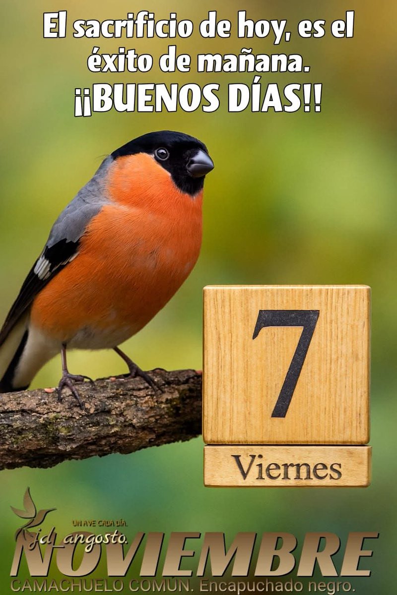 Fogata (@fogata13) on Twitter photo 