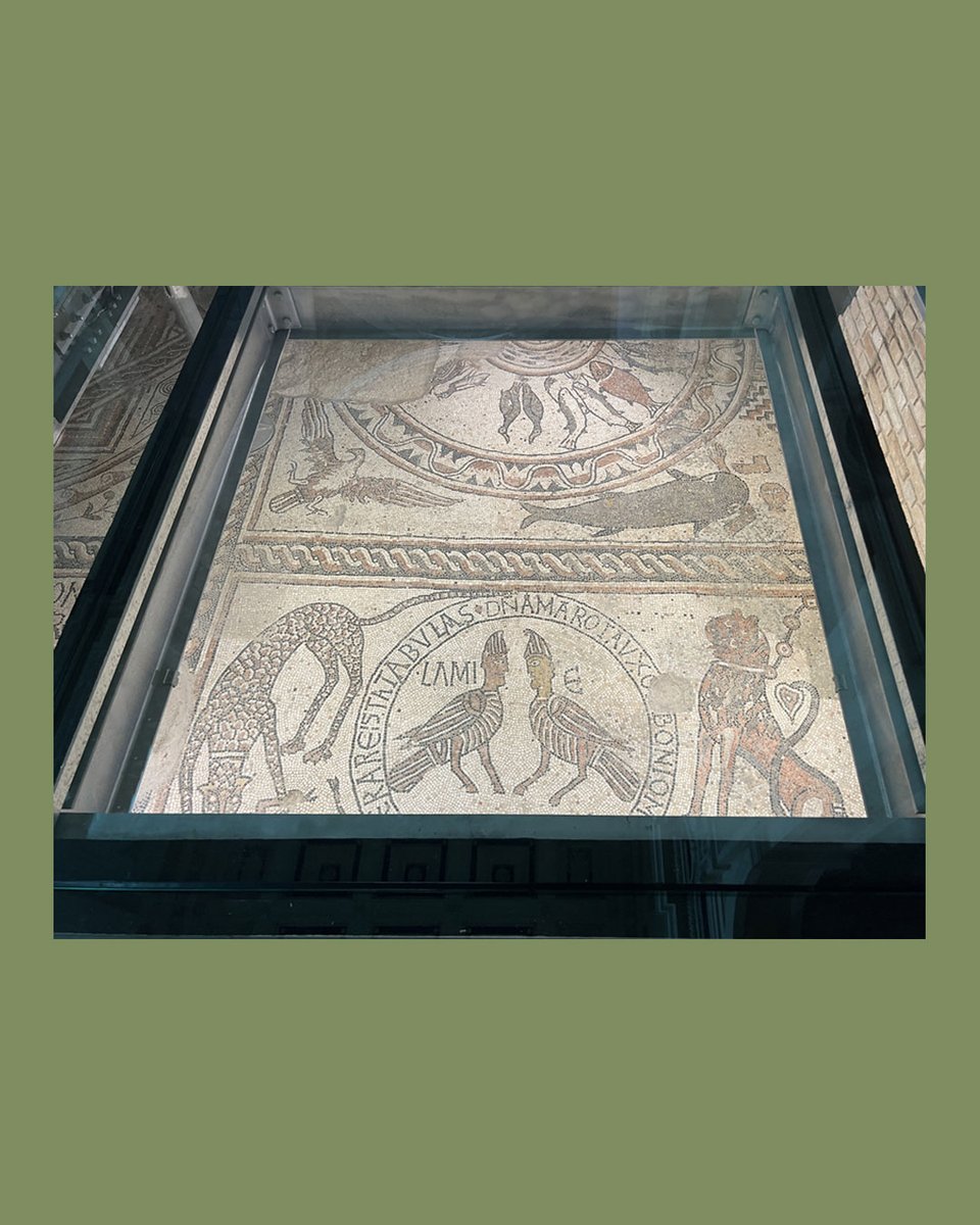 Ieri è stato inaugurato il secondo intervento nella Cattedrale di Santa Maria dell’Assunta, nel cuore della nostra città. «Siamo orgogliosi di aver preso parte a questa iniziativa di grande valore» – dichiara la Presidente Emanuela Scavolini.
#fondazionescavolini #Pesaro #mosaici