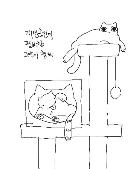 도리 tweet media