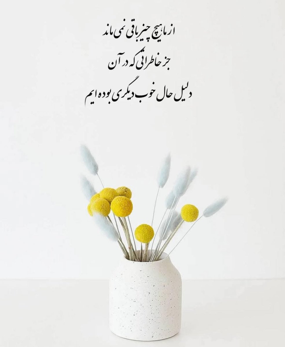 keyvan shamadil (@keyvan_1987) on Twitter photo 