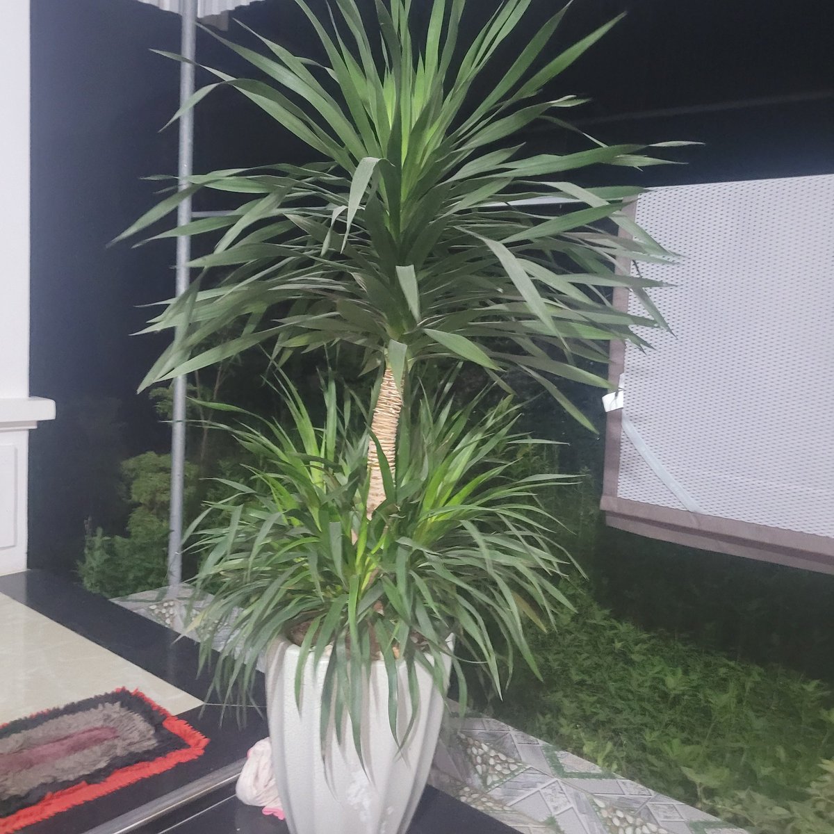 🎀24h🎀
Massage in Riyadh
  🎍     in  hail
   🎋   in  Hofuf
     🎄 in riyadh
in jeddah  
in Buraydah
📲wa.me/+966582686681☎  
🎯 wa.me/966582686681
🌾🌾🌾🌾🌜🍌🍌🍌 in najran
in abha
in khobar
in jazan