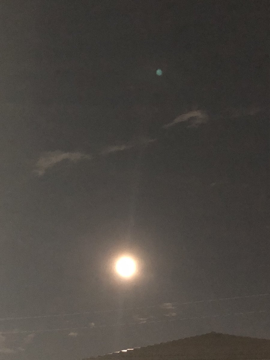 ケンタッキー (@GL3FPY7icWwB1w0) / Posts / X