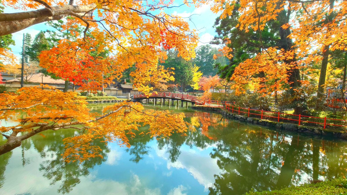 やっと晴れました！
今日お昼過ぎ、高野山の紅葉です。
#高野山 #壇上伽藍