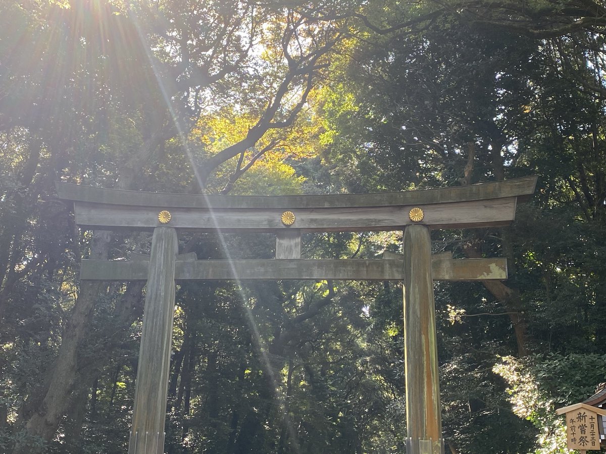sena_purabe's tweet photo. 空気がきれいで気持ちがすっとした。
久しぶりにゆっくり歩いて、自分の中を整える時間になった！
またここから落ち着いて頑張ろう！ https://t.co/5nyr9T5igU