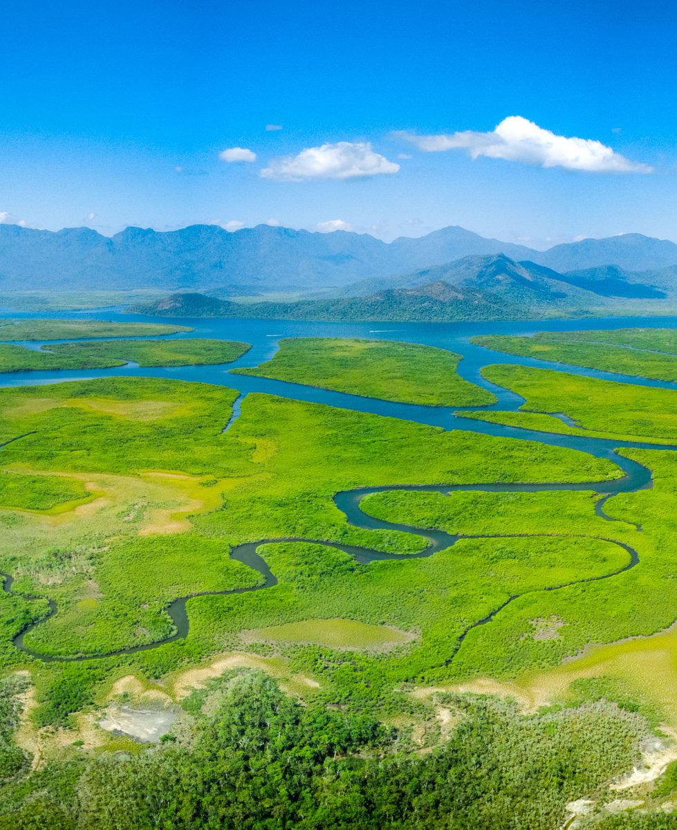 Hinchinbrook Island, Queensland, Australia  #Mangroves #Rivers