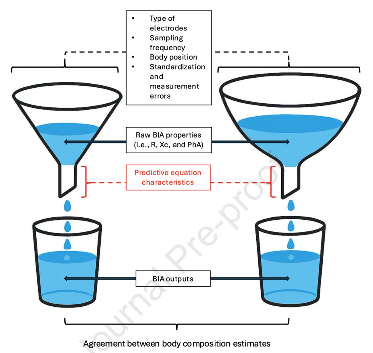 CONCORDANCIA EN LA COMPOSICIÓN CORPORAL ENTRE TECNOLOGÍAS DE BIOIMPEDANCIA Aunque los valores eléctricos difieren entre dispositivos de bioimpedancia, las estimaciones de masa libre de grasa son comparables cuando se aplican ecuaciones predictivas desarrolladas con el mismo