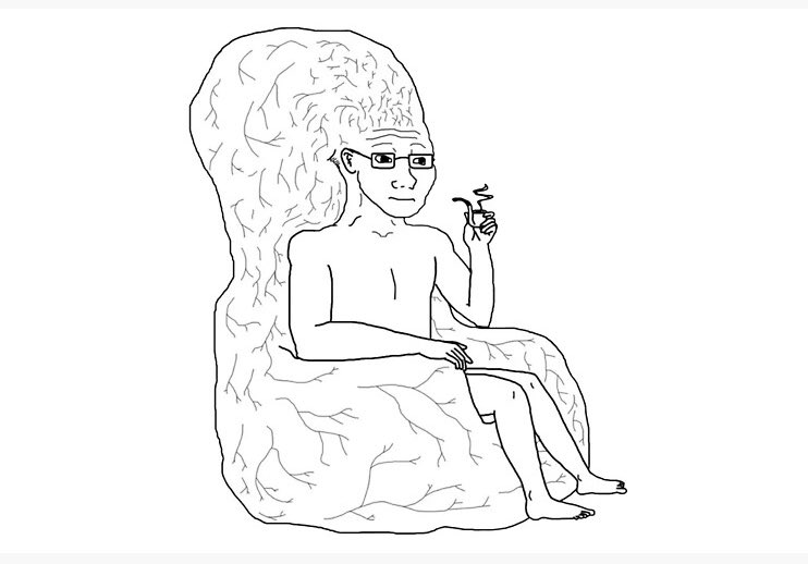 MatchSports tweet media