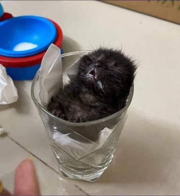 bro is lost in the sauce