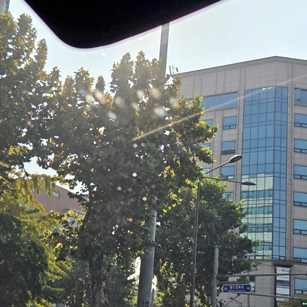 건강검진 다녀오는 길 냥이 흔적🐈‍⬛ 올라갔는데 맘에 안들었는지 옆으로 내려온 발자국까지 있네😅
귀여우니까 안닦ㅇㅏ야지><