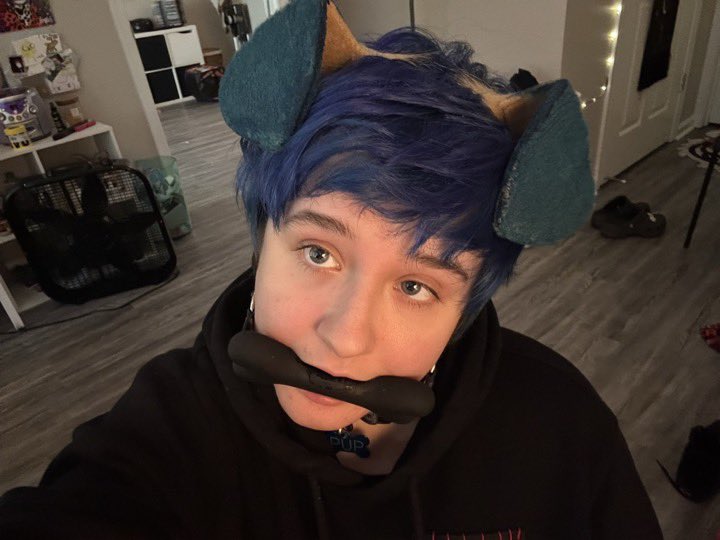 sal 🦴 ($30/100) tweet media