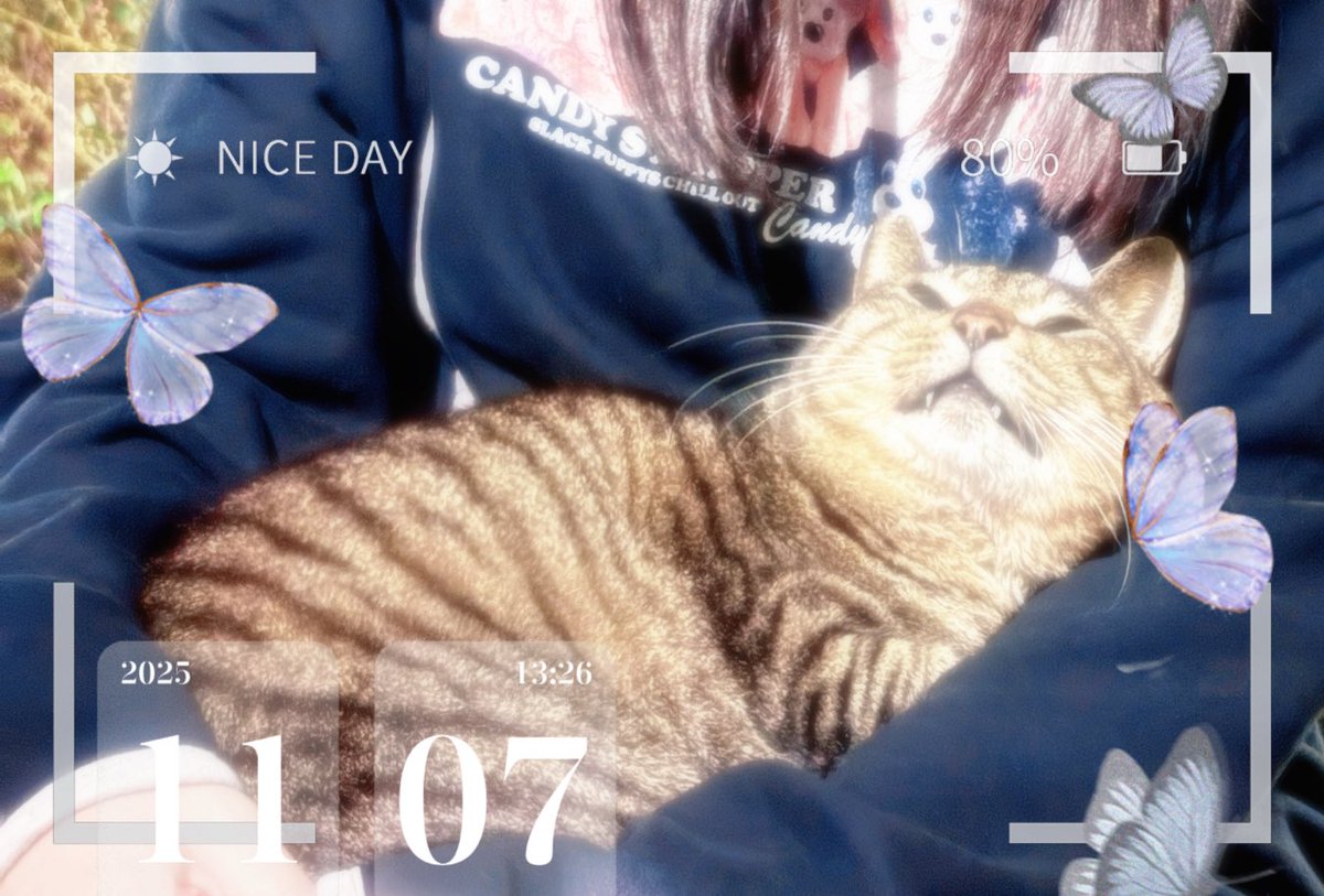 ୨୧┈ 𝚖𝚊𝚚𝚞𝚒𝚊 ┈୨୧ (@maq_ff14) / Posts / X