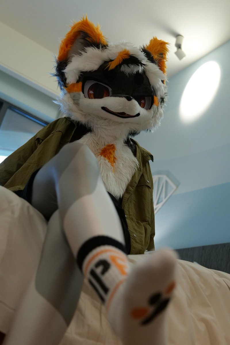 毛五
你们豆浆白倒在我的脚下
#fursuit #FursuitEveryday #furry