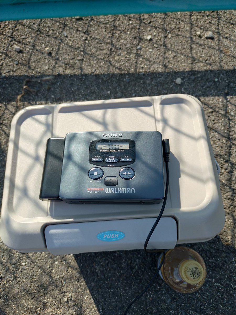 マンモス☆タイガーだぞ！ (@funkfunkfunk3) / Posts / X